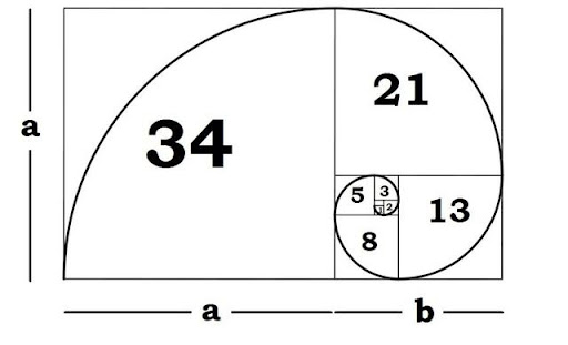 Dãy số Fibonacci là gì 2