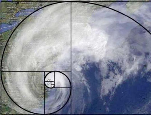 Dãy số Fibonacci là gì 4