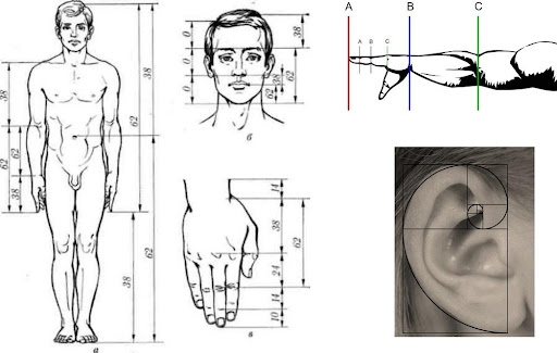 Dãy số Fibonacci là gì 5