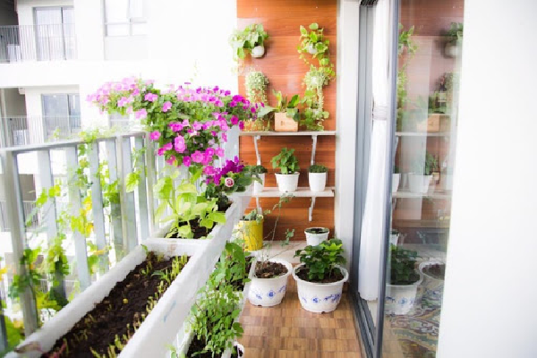 cách tiết kiệm hiệu quả - vườn 