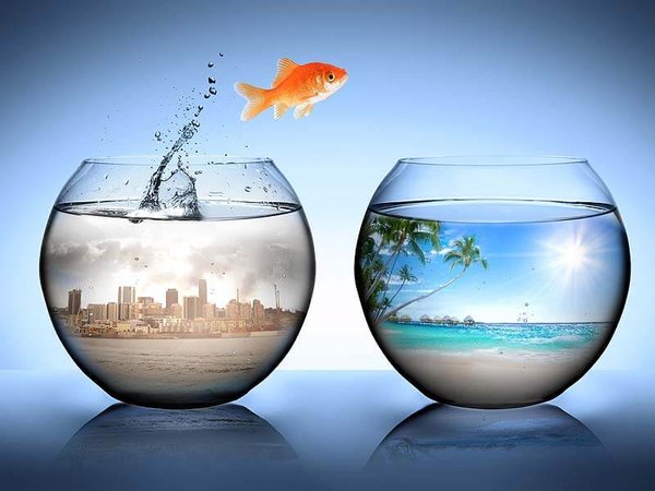 Vượt qua giới hạn bản thân - giới hạn vùng an toàn