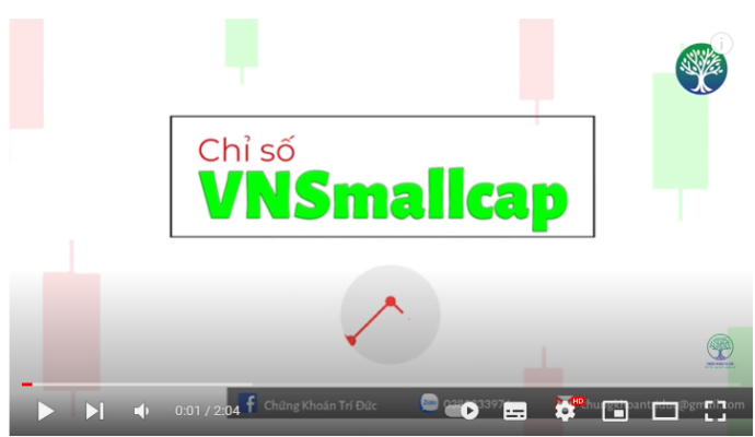 Chỉ số Vnsmallcap là gì