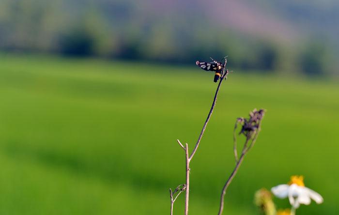 Bình thản đón nhận 3