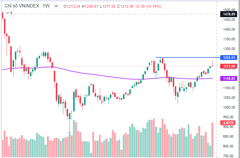 Thị trường tuần 08/2024: Bán áp đảo, Thị trường giảm mạnh phiên cuối tuần